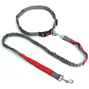 Hands Free Adjustable Dog Leash Belt for Outdoor Use