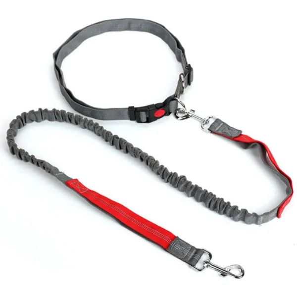 Hands Free Adjustable Dog Leash Belt for Outdoor Use
