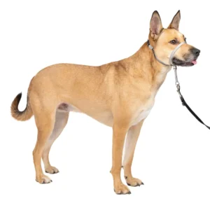 Outdoor Adjustable Strape Dog Muzzle