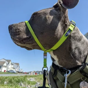 Outdoor Adjustable Strape Dog Muzzle – product view 3