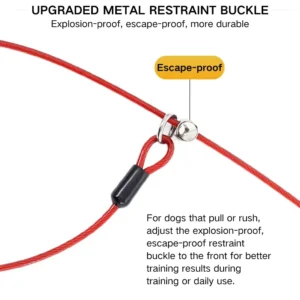 Heavy-Duty Anti-Sudden Pull Dog Leash for Dogs Anti-Escape P-Chain – product view 4