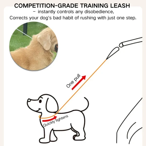 dchwm0024334-05.webp Heavy-Duty Anti-Sudden Pull Dog Leash for Dogs Anti-Escape P-Chain – product view 5