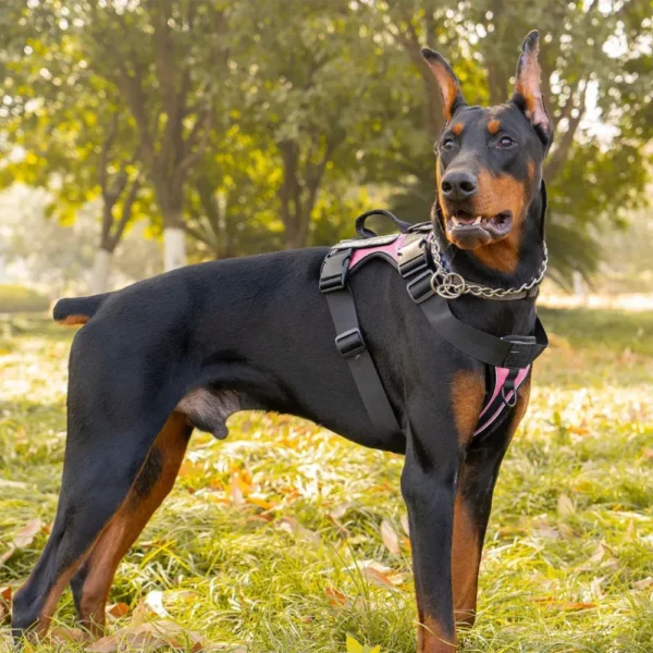 dchwm0027272-03.webp Reflective Solid Color Tactical Dog Vest Harness with Handle – product view 3