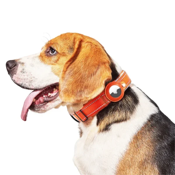 dchwm0028158-05.webp Reflective Adjustable GPS Pet Tracker Protective Case Collar – product view 5