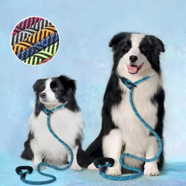 dchwm0030831-03.webp Adjustable No-Choke Leash for All Sizes Dog – product view 3