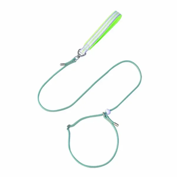 dchwm0031079-02.webp Class P Rope Dog Training Leash Slip Lead Dog Leash – product view 2
