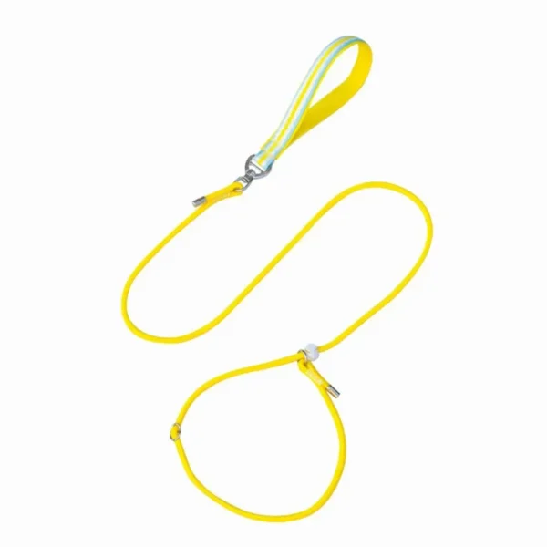 dchwm0031079-03.webp Class P Rope Dog Training Leash Slip Lead Dog Leash – product view 3