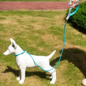 Class P Rope Dog Training Leash Slip Lead Dog Leash – product view 4