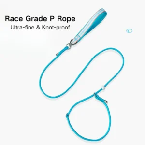 dchwm0031079-05.webp Class P Rope Dog Training Leash Slip Lead Dog Leash – product view 5