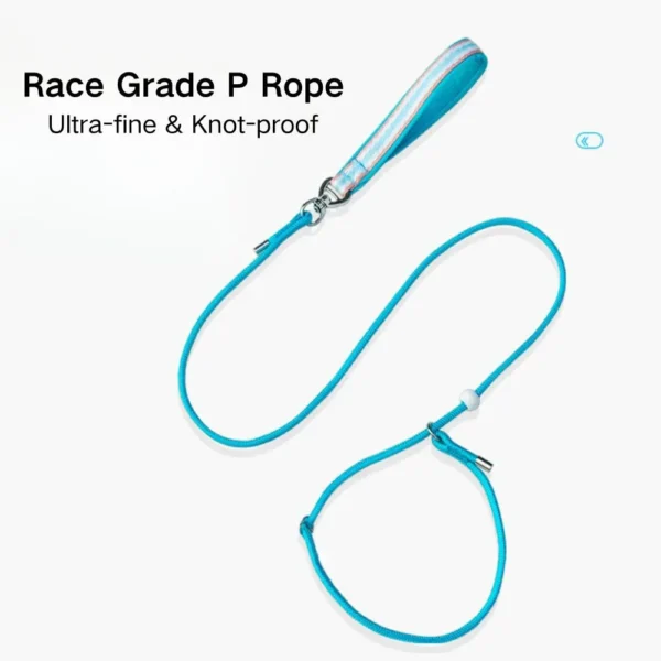 dchwm0031079-05.webp Class P Rope Dog Training Leash Slip Lead Dog Leash – product view 5