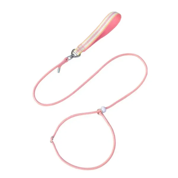 dchwm0031079-06.webp Class P Rope Dog Training Leash Slip Lead Dog Leash – product view 6