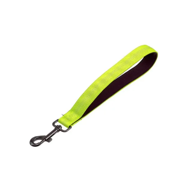 dchwm0031181-02.webp Padded Handle Heavy Duty Nylon Training Lead Short Dog Leash – product view 2