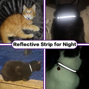 dchwm0032041-07.webp Lightweight Reflective Airtag Case Cat Collar Breakaway – product view 7