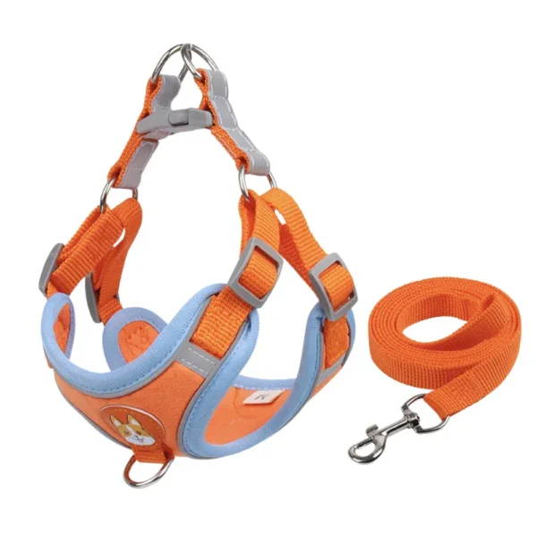 Outdoor Walking Adjustable Vest Dog Harness Leash Set