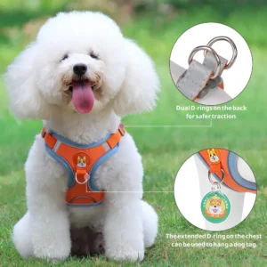 Outdoor Walking Adjustable Vest Dog Harness Leash Set – product view 2