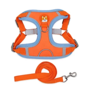 Outdoor Walking Adjustable Vest Dog Harness Leash Set – product view 4