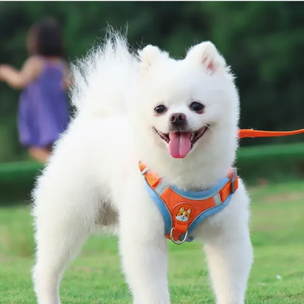dchwm0032412-05.webp Outdoor Walking Adjustable Vest Dog Harness Leash Set – product view 5