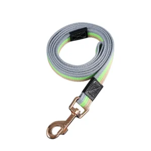 dchwm0032618-01.webp Durable Extended Canvas Leash for Large Dogs