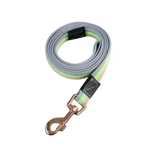 dchwm0032618-01.webp Durable Extended Canvas Leash for Large Dogs