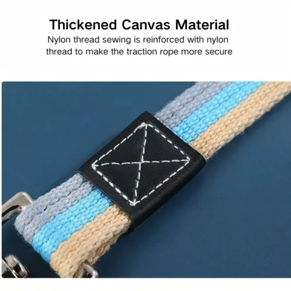 dchwm0032618-04.webp Durable Extended Canvas Leash for Large Dogs – product view 4