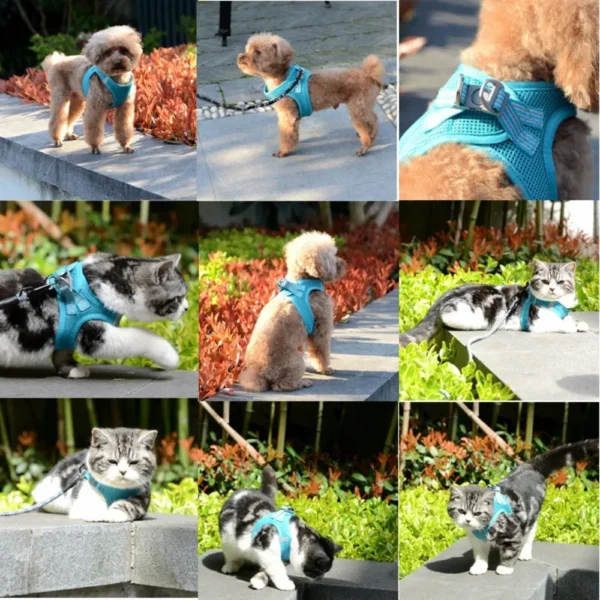 dchwm0032952-07.webp Breathable Reflective Pet Harness for Dogs and Cats – product view 7