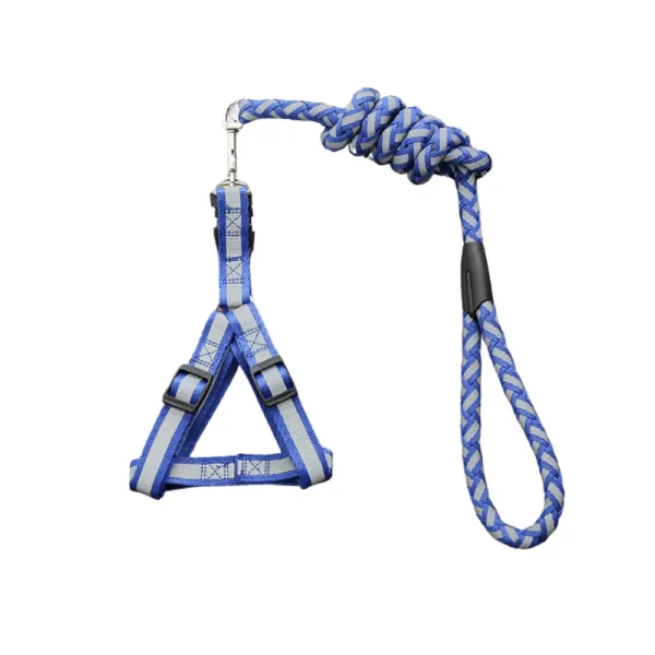 dchwm0033189-01.webp Reflective Braided Dog Leash with Harness