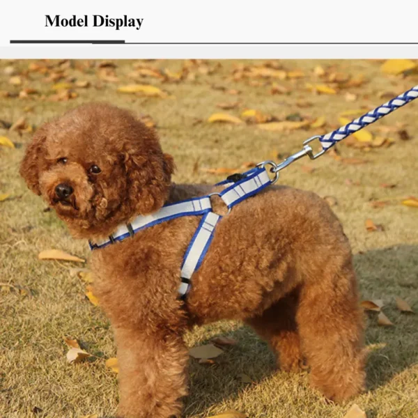 dchwm0033189-02.webp Reflective Braided Dog Leash with Harness – product view 2