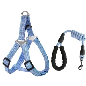 Durable and Adjustable Harness and Leash Set for Dog | Wholesale Dog Harnesses