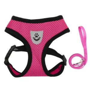 Reflective Breathable Mesh Pet Harness and Leash Set with Adjustable Buckles | Wholesale Dog Harnesses
