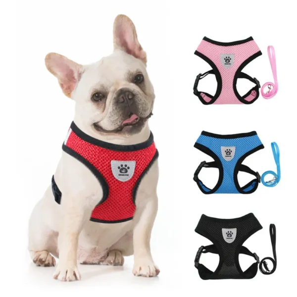 dchwm0034263-02.webp Reflective Breathable Mesh Pet Harness and Leash Set with Adjustable Buckles – product view 2