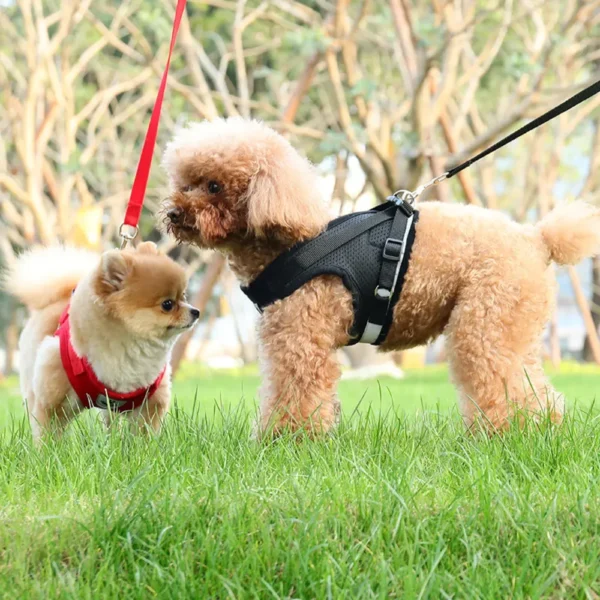 dchwm0034263-07.webp Reflective Breathable Mesh Pet Harness and Leash Set with Adjustable Buckles – product view 7