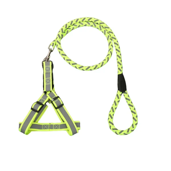 Sporty Reflective Braided Dog Leash with Harness