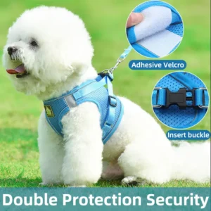dchwm0034674-03.webp Reflective Breathable Pet Harness Leash Set with Adjustable Chest Strap – product view 3