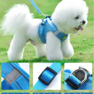 dchwm0034674-05.webp Reflective Breathable Pet Harness Leash Set with Adjustable Chest Strap – product view 5