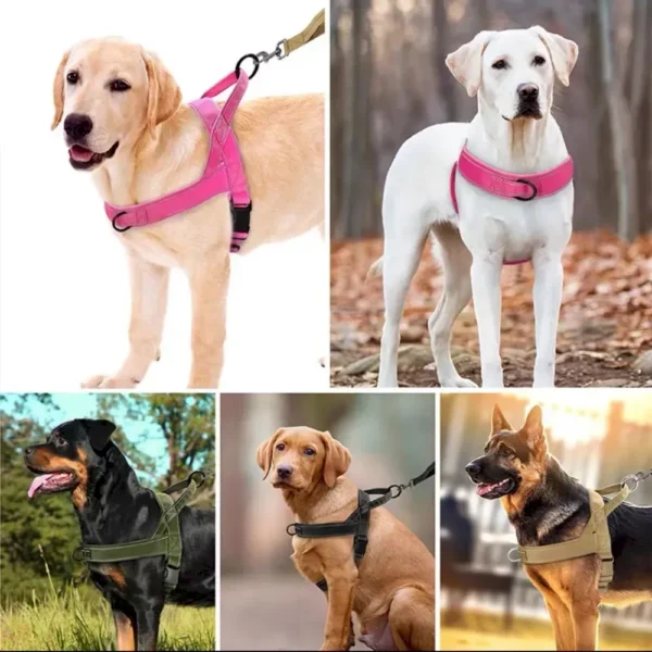 dchwm0034708-06.webp Adjustable Chest Strap Dog Vest Harness for Large Breeds – product view 6