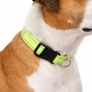 Reflective Adjustable Pet Collar Sporty Collar For Dogs