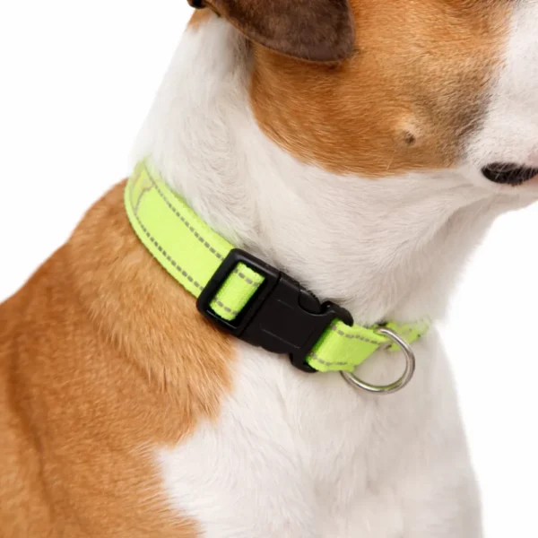 Reflective Adjustable Pet Collar Sporty Collar For Dogs