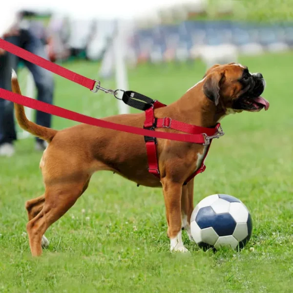 dchwm0035785-02.webp Adjustable Dog Harness Set for Small Medium Large Breeds – product view 2