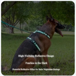 dchwm0036065-02.webp Adjustable Anti-Pull Dog Harness Set with Diving Fabric – product view 2