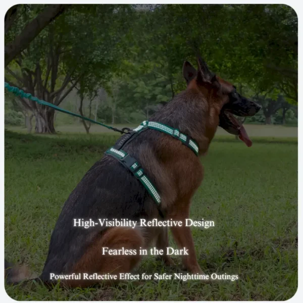 dchwm0036065-02.webp Adjustable Anti-Pull Dog Harness Set with Diving Fabric – product view 2