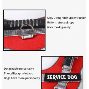 dchwm0036483-02.webp Adjustable Reflective Pet Harness and Leash Set with Alloy D-Ring – product view 2