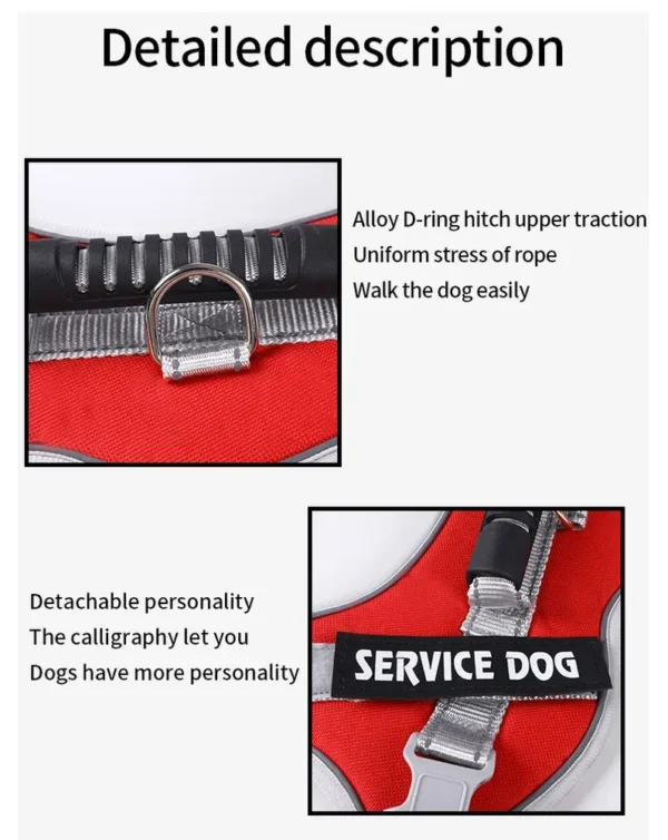 dchwm0036483-02.webp Adjustable Reflective Pet Harness and Leash Set with Alloy D-Ring – product view 2