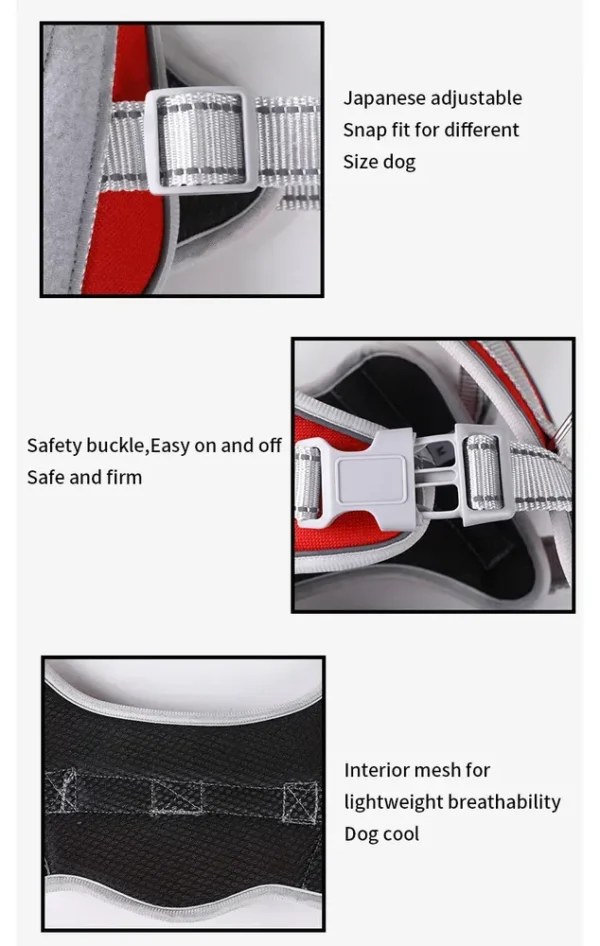 dchwm0036483-03.webp Adjustable Reflective Pet Harness and Leash Set with Alloy D-Ring – product view 3
