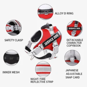 dchwm0036483-05.webp Adjustable Reflective Pet Harness and Leash Set with Alloy D-Ring – product view 5