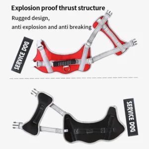 dchwm0036483-06.webp Adjustable Reflective Pet Harness and Leash Set with Alloy D-Ring – product view 6