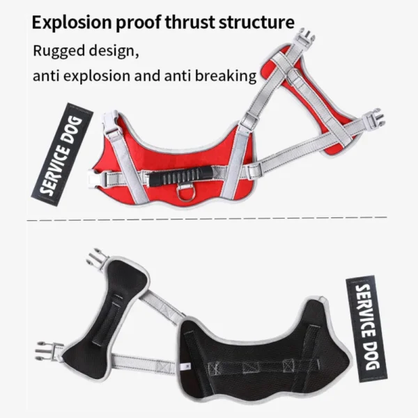 dchwm0036483-06.webp Adjustable Reflective Pet Harness and Leash Set with Alloy D-Ring – product view 6