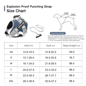 dchwm0036483-07.webp Adjustable Reflective Pet Harness and Leash Set with Alloy D-Ring – product view 7