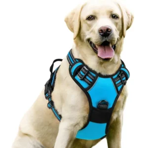 Reflective Heavy-Duty Pet Harness for Large Dogs | Wholesale Dog Harnesses