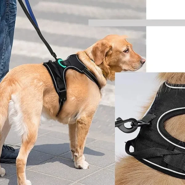 dchwm0036748-04.webp Reflective Heavy-Duty Pet Harness for Large Dogs – product view 4