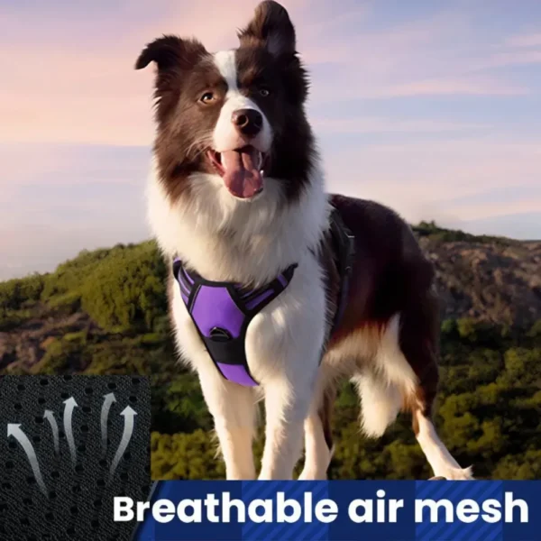 dchwm0036748-06.webp Reflective Heavy-Duty Pet Harness for Large Dogs – product view 6